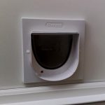 Cat flap fitter Chelmsford