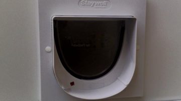 Cat Flap Colchester