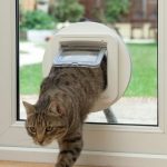 Cat flap installer Loughton